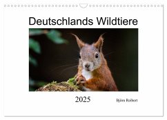 Deutschlands Wildtiere (Wandkalender 2025 DIN A3 quer), CALVENDO Monatskalender