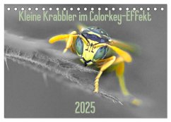 Kleine Krabbler im Colorkey-Effekt (Tischkalender 2025 DIN A5 quer), CALVENDO Monatskalender - Calvendo;Blickwinkel, Dany´s