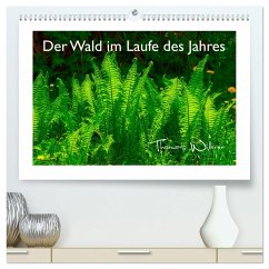 Der Wald im Laufe des Jahres (hochwertiger Premium Wandkalender 2025 DIN A2 quer), Kunstdruck in Hochglanz - Calvendo;Willerer, Thomas