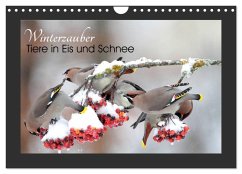 Winterzauber - Tiere in Eis und Schnee (Wandkalender 2025 DIN A4 quer), CALVENDO Monatskalender