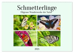 Schmetterlinge - Filigrane Wunderwerke der Natur (Wandkalender 2025 DIN A2 quer), CALVENDO Monatskalender - Calvendo;Kleemann, Claudia