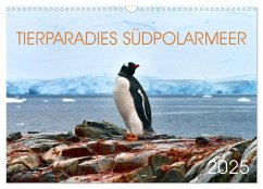 Tierparadies Südpolarmeer (Wandkalender 2025 DIN A3 quer), CALVENDO Monatskalender