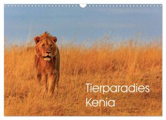 Tierparadies Kenia (Wandkalender 2025 DIN A3 quer), CALVENDO Monatskalender