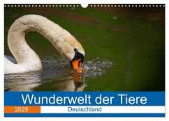 Wunderwelt der Tiere - Deutschland (Wandkalender 2025 DIN A3 quer), CALVENDO Monatskalender