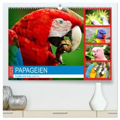 Papageien. Knallbunte Aras und Co. (hochwertiger Premium Wandkalender 2025 DIN A2 quer), Kunstdruck in Hochglanz