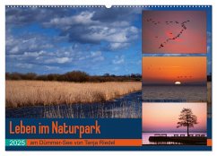 Leben am Naturpark um den Dümmer See (Wandkalender 2025 DIN A2 quer), CALVENDO Monatskalender