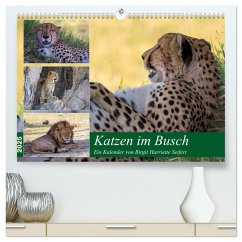 Katzen im Busch (hochwertiger Premium Wandkalender 2025 DIN A2 quer), Kunstdruck in Hochglanz - Calvendo;Harriette Seifert, Birgit