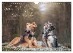 Silken Windsprites - Seidige Windelfen (Wandkalender 2025 DIN A4 quer), CALVENDO Monatskalender