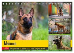 Malinois - belgischer Schäferhund (Tischkalender 2025 DIN A5 quer), CALVENDO Monatskalender - Calvendo;Riedel, Tanja