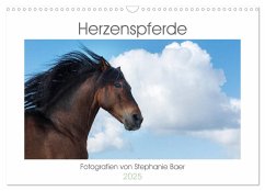 Herzenspferde 2025 (Wandkalender 2025 DIN A3 quer), CALVENDO Monatskalender - Calvendo;Baer, Stephanie