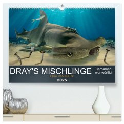 Dray's Mischlinge (hochwertiger Premium Wandkalender 2025 DIN A2 quer), Kunstdruck in Hochglanz