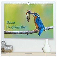 Blaue Flugkünstler (hochwertiger Premium Wandkalender 2025 DIN A2 quer), Kunstdruck in Hochglanz - Calvendo;Oldani, Dorothea