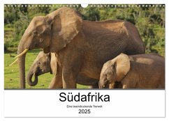 Südafrika - Eine beeindruckende Tierwelt (Wandkalender 2025 DIN A3 quer), CALVENDO Monatskalender
