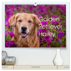 Golden Retriever Hailey Fotokalender (hochwertiger Premium Wandkalender 2025 DIN A2 quer), Kunstdruck in Hochglanz