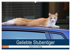 Geliebte Stubentiger - Katzen im Alltag (Wandkalender 2025 DIN A2 quer), CALVENDO Monatskalender