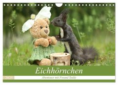 Eichhörnchen - Abenteuer mit Freund Teddy (Wandkalender 2025 DIN A4 quer), CALVENDO Monatskalender - Calvendo;Cerny, Birgit