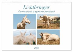 Lichtbringer - Österreichisch-Ungarische Barockesel (Wandkalender 2025 DIN A2 quer), CALVENDO Monatskalender - Calvendo;Bölts, Meike