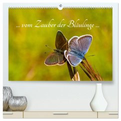 ... vom Zauber der Bläulinge ... (hochwertiger Premium Wandkalender 2025 DIN A2 quer), Kunstdruck in Hochglanz