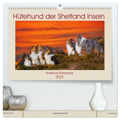 Hütehund der Shetland Inseln - Shetland Sheepdog (hochwertiger Premium Wandkalender 2025 DIN A2 quer), Kunstdruck in Hochglanz