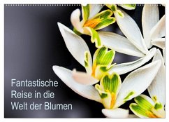 Fantastische Reise in die Welt der Blumen (Wandkalender 2025 DIN A2 quer), CALVENDO Monatskalender - Calvendo;Klöppel, Anke