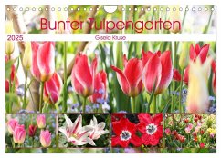 Bunter Tulpengarten (Wandkalender 2025 DIN A4 quer), CALVENDO Monatskalender - Calvendo;Kruse, Gisela