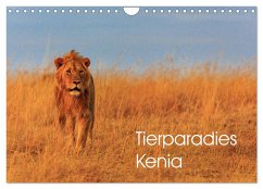 Tierparadies Kenia (Wandkalender 2025 DIN A4 quer), CALVENDO Monatskalender - Calvendo;Oberholzer, David