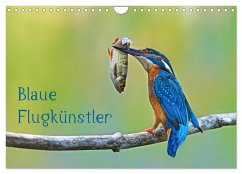 Blaue Flugkünstler (Wandkalender 2025 DIN A4 quer), CALVENDO Monatskalender