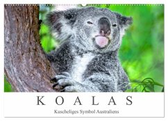 Koalas - Kuscheliges Symbol Australiens (Wandkalender 2025 DIN A2 quer), CALVENDO Monatskalender