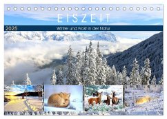 Eiszeit. Winter und Frost in der Natur (Tischkalender 2025 DIN A5 quer), CALVENDO Monatskalender - Calvendo;Hurley, Rose