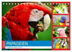 Papageien. Knallbunte Aras und Co. (Tischkalender 2025 DIN A5 quer), CALVENDO Monatskalender - Calvendo;Hurley, Rose