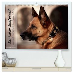 Deutscher Schäferhund ¿ Faszinierende Augenblicke mit einem Herz auf vier Pfoten (hochwertiger Premium Wandkalender 2025 DIN A2 quer), Kunstdruck in Hochglanz