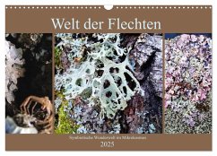 Welt der Flechten (Wandkalender 2025 DIN A3 quer), CALVENDO Monatskalender - Calvendo;weis, Stefan
