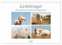 Lichtbringer - Österreichisch-Ungarische Barockesel (Wandkalender 2025 DIN A3 quer), CALVENDO Monatskalender - Calvendo;Bölts, Meike