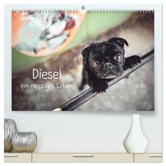 Diesel - ein mopsiges Leben (hochwertiger Premium Wandkalender 2025 DIN A2 quer), Kunstdruck in Hochglanz - Calvendo;Wobith Photography - FotosVonMaja, Sabrina