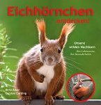 Eichhörnchen entdecken!