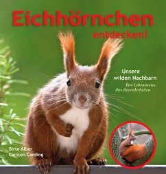 Eichhörnchen entdecken! - Alber, Birte;Dr. Cording, Carsten