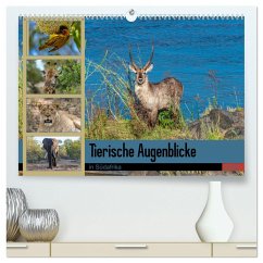 Tierische Augenblicke in Südafrika (hochwertiger Premium Wandkalender 2025 DIN A2 quer), Kunstdruck in Hochglanz - Calvendo;W. Saul, Norbert