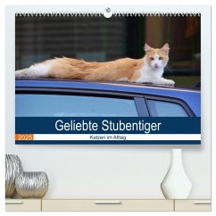 Geliebte Stubentiger - Katzen im Alltag (hochwertiger Premium Wandkalender 2025 DIN A2 quer), Kunstdruck in Hochglanz