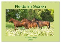 Pferde im Grünen (Wandkalender 2025 DIN A3 quer), CALVENDO Monatskalender - Calvendo;Laage, Elke