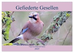 Gefiederte Gesellen - Vögel aus Wald und Garten (Wandkalender 2025 DIN A2 quer), CALVENDO Monatskalender