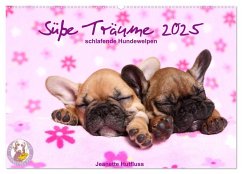 Süße Träume 2025 - schlafende Hundewelpen (Wandkalender 2025 DIN A2 quer), CALVENDO Monatskalender