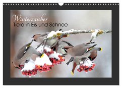 Winterzauber - Tiere in Eis und Schnee (Wandkalender 2025 DIN A3 quer), CALVENDO Monatskalender - Calvendo;Bachmeier, Günter