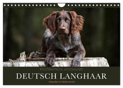 Faszination Jagdhund - Deutsch Langhaar (Wandkalender 2025 DIN A4 quer), CALVENDO Monatskalender - Calvendo;Gerlach, Nadine