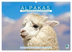 Alpakas: Wollige Kleinkamele aus Südamerika - Edition lustige Tiere (Wandkalender 2025 DIN A2 quer), CALVENDO Monatskalender Alpakas: Wollige Kleinkamele aus Südamerika - Edition lustige Tiere (Wandkalender 2025 DIN A2 quer), CALVENDO Monatskalender