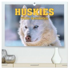Huskies - Tolle Gefährten (hochwertiger Premium Wandkalender 2025 DIN A2 quer), Kunstdruck in Hochglanz - Calvendo;Brunner-Klaus, Liselotte