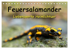 Feuersalamander - Liebenswerte Heimlichtuer (Tischkalender 2025 DIN A5 quer), CALVENDO Monatskalender