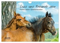 Lass uns Freunde sein (Wandkalender 2025 DIN A4 quer), CALVENDO Monatskalender