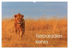 Tierparadies Kenia (Wandkalender 2025 DIN A2 quer), CALVENDO Monatskalender - Calvendo;Oberholzer, David