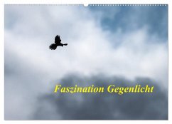 Faszination Gegenlicht (Wandkalender 2025 DIN A2 quer), CALVENDO Monatskalender