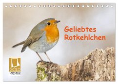 Geliebtes Rotkehlchen (Tischkalender 2025 DIN A5 quer), CALVENDO Monatskalender - Calvendo;Martin (GDT), Wilfried